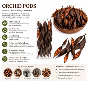 AQUA VRIKSHA Cápsulas de Orquídea Naturales para Acuarios, Peceras de Betta, Peceras de Camarones y Acuapaisajismo |   Paquete de 10 - Product Image 1
