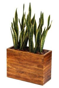 Modern wooden <b>planter</b>, succulent garden <b>box</b>, wooden indoor <b>planter</b>, stylish plant holder, Eco friendly <b>planter</b>, - Product Image 4