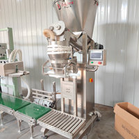 Máquina de Llenado y Empaquetado de Bolsas Semiautomática de Alta Precisión de 10 kg, 25 kg y 50 kg para Alimentos en Polvo a Granel