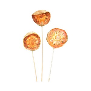 Matériau botanique de bâton de tranche de cloche sèche naturelle pour la décoration de fête Bouquet de fleurs et de plantes séchées - Product Image 1