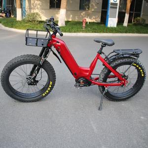 Vélo électrique à transmission par courroie, pneus larges, E-bike Fatbike 48v 1000w, moteur central M620 - Product Image 1