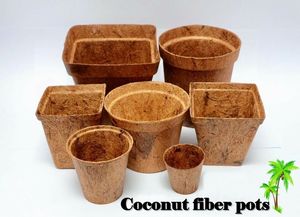 Pots à plantes en fibre de coco en gros du Vietnam – Pots à fleurs écologiques et biodégradables de qualité supérieure pour jardins intérieurs et extérieurs - Product Image 5