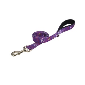 Ensemble collier et laisse pour chien en sangle de polyester doux, écologique, classique, imprimé, motif tendance, qualité professionnelle, pour la promenade des chiens - Product Image 3