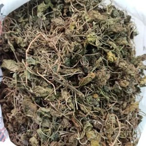 บราห์มีธรรมชาติ |   ผงบาโคปา มอนนิเอรี |   แคร์คิว สมุนไพรแห้งเสริมความจำ บรรเทาความเครียด |   บรรจุภัณฑ์สุญญากาศ |   ชั้นวางของแบบ 24 เดือน - Product Image 5