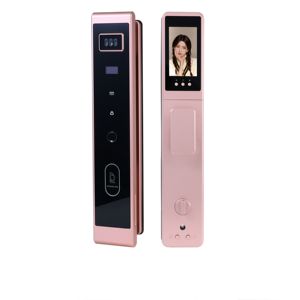 Serrure de porte intelligente avec caméra œil de chat 4,5 pouces, déverrouillage à distance via application, reconnaissance faciale/empreintes digitales, processus de gravure de précision, finition anodisée moderne, Cloud - Product Image 1