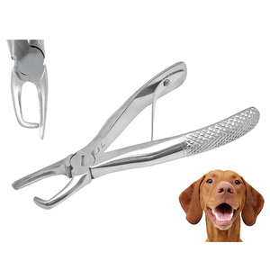 Pince à tartre pour animaux de compagnie 4,5″ – Outil de détartrage dentaire pour chiens, animaux domestiques, usage vétérinaire, gratte-plaque dentaire - Product Image 1
