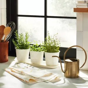 Modern Gold <b>Watering</b> <b>Can</b> with Long Spout <b>Indoor</b> Plant <b>Watering</b> Pot Small Metal Garden Jug for Houseplants and Home Decor - Product Image 2