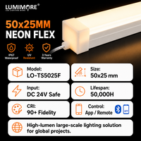 Bande LED néon flexible en cuivre à haute luminosité, grande taille 50x25, plate, étanche, pour aménagement paysager, 24V DC