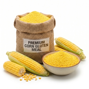 Farine de maïs sans gluten pour l'alimentation animale, aliment riche en protéines de qualité alimentaire pour volailles, bovins et bétail, nutrition animale, vente en gros, approvisionnement en vrac, exportateur - Product Image 1