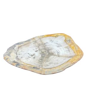 Premium Polished Round Petrified <b>Wood</b> Plate <b>Wood</b> <b>Slice</b> for Table Decor Interior Decoration - Product Image 4