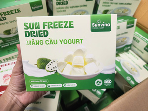 Collation de yaourt aux fruits lyophilisés OEM ODM Fabricant Vietnamien Yaourt lyophilisé sain à faible teneur en sucre et riche en protéines Prix abordable - Product Image 3