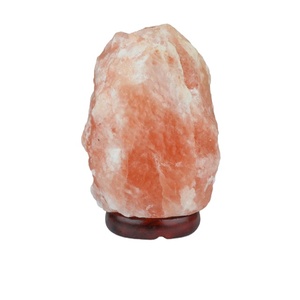Vente en gros rose forme naturelle artisanat variateur cristal roche sel de l'Himalaya lampe prise lampe au sel de l'himalaya - Product Image 1