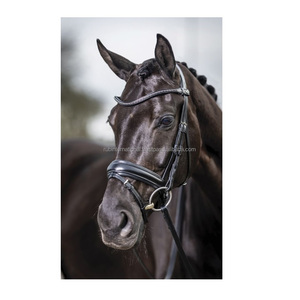 Brida de caballo de cuero genuino ajustable hecha en fábrica, cómoda venta al por mayor, modelo internacional Rub 7860B, logotipo de tamaño personalizable - Product Image 4