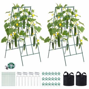 Cucumber Trellis, Paquete de 4 - Enrejados de Jardín con Estructura Metálica Inoxidable para Macizos Elevados, Soporte para Plantas Trepadoras, 50m, Liso - Product Image 1