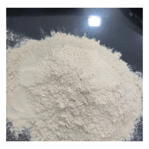 Polvo de Cáscara de Psyllium Orgánico 98% 100% Puro de Grado Alimenticio a Granel Calidad de Exportación Fabricado en India - Product Image 1