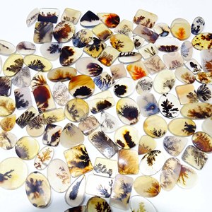 พลอยอาเกตเดนดริติกธรรมชาติแบบหลวม รูปทรงคาโบชอง ขายส่ง หลายรูปทรง หลายสี ของ AMAN GEMS JEWELLERY แหล่งกำเนิดราชสถาน - Product Image 5