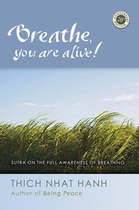 Libro de bolsillo en inglés: Respira, estás vivo. Guía de práctica de meditación y desarrollo espiritual. - Product Image 3