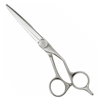Ciseaux professionnels pour couper les cheveux et la barbe, 13 cm, ciseaux de coiffure professionnels, instrument chirurgical en acier inoxydable pour salon