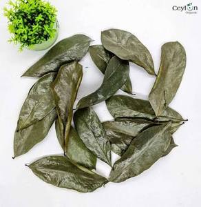 Feuilles séchées d'Annona Muricata (Annona muricata) – Ingrédients pour thé en vrac, conditionnement en sachet refermable, approvisionnement naturel pour l'exportation - Product Image 4