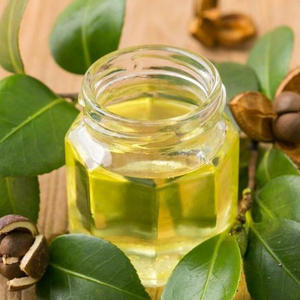 Factory Supply Skin Care Camellia Seed Oil Fragrance Oil Perfume Camellia Oil - Product Image 6