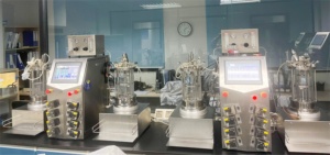 Laboratorio de fermentación de control de bioprocesos Bailun 5L, cultivo de grado farmacéutico, síntesis de productos biológicos, BLBIO-GC - Product Image 6