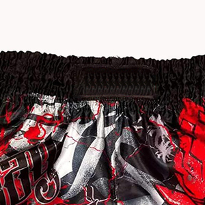 Shorts de boxe en gros OEM, design de logo personnalisé, shorts UFC pour adultes, shorts de kick-boxing MMA, shorts de combat en spandex/polyester 220g - Product Image 2