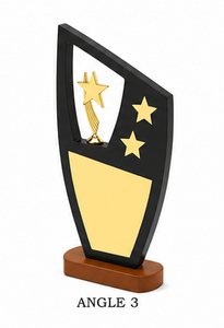 Trophée en bois gravé au laser de luxe, récompenses d'entreprise pour la reconnaissance des employés, programmes de reconnaissance des réalisations professionnelles - Product Image 5