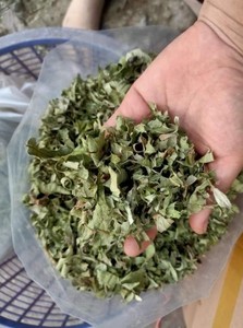 Feuilles de goyave séchées au Vietnam : Haute qualité et prix compétitif // Evan - Product Image 6