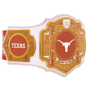 Cinturón de Campeonato Personalizado Estilo Texas Longhorns con Placas de Metal Pesado Doradas FITLER SPORTS Hebilla de Placa Título de Lucha Libre - Product Image 3
