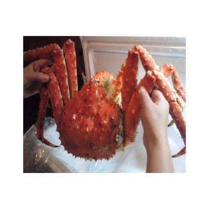 Cangrejo real vivo rojo, suministro al por mayor, mariscos de primera calidad - Product Image 5