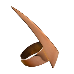 Anneau de séparation capillaire de qualité professionnelle pour coiffeurs |   Anneau de séparation capillaire à pointe fine pour soins de beauté et coiffure - Product Image 1