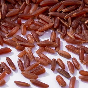 ข้าวขาวออร์แกนิกเพื่อสุขภาพ ชนิดเมล็ดกลาง ไฟเบอร์สูง ข้าวธัญพืชเต็มเมล็ด รับผลิตแบบ OEM แบรนด์ส่วนตัว ผู้จัดจำหน่ายส่งออก - Product Image 4