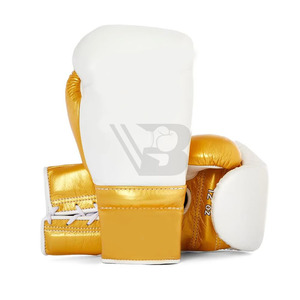Fully Customized Lightweight Durable Shock-Absorbing Non-Slip High Quality OEM ODM Boxing Gloves & <b>Focus</b> <b>Pads</b> Sets - Product Image 5