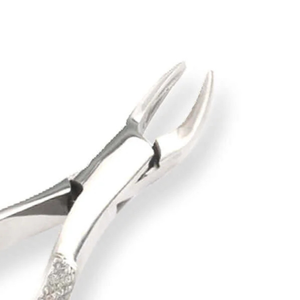 Forceps d'extraction dentaire # 96 Molaire inférieure manuelle en acier inoxydable chirurgical dentaire, prémolaires, poignée ergonomique, certifiée CE - Product Image 4
