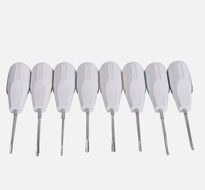 Kit de Equipos Dentales Profesionales para Proveedores de Atención Dental, Clínicas, Hospitales, Centros de Tratamiento Oral y Odontología - Product Image 3