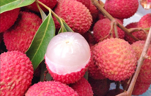Litchis surgelés de qualité supérieure |   Origine Vietnam |   Qualité d'exportation |   Approvisionnement mondial - Product Image 2