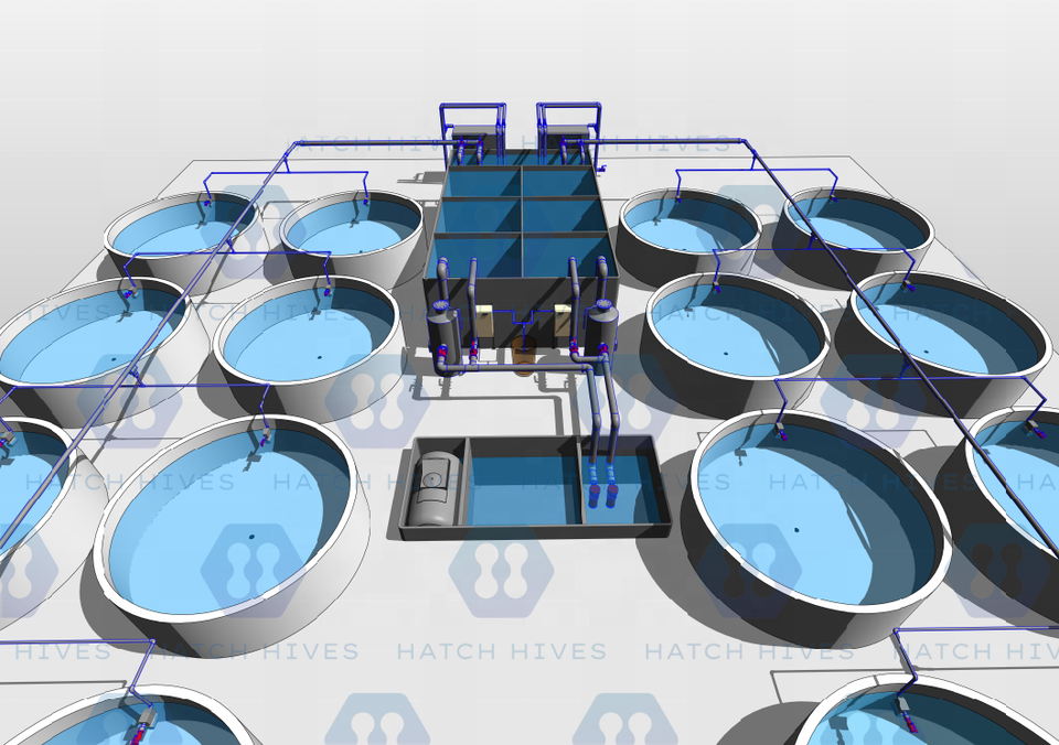 RAS Recirculating Aquaculture System for Efficient Fish Farming
