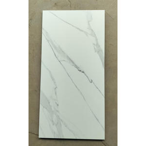 Carreaux muraux en céramique numériques de qualité supérieure 30×60 cm, design moderne, finition brillante, carreaux muraux en céramique pour salle de bain et cuisine - Product Image 6