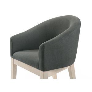 Ensemble de 2 chaises d'appoint en tissu gris de 23 po de la marque Neroli pour salon - Product Image 5