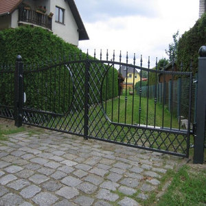 Puerta Frontal Metálica Premium con Elegante Diseño de Hierro Forjado para Entradas de Lujo en Jardines y Villas, Ideal para Hogares Elegantes - Product Image 2