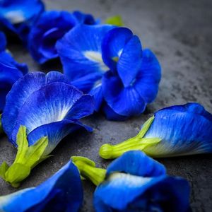 Well Dried Butterfly Pea Flowers 100% Natural Blue Petals Herbal Health Beverage Manufacturing <b>Tea</b> Bulk Wholesale Vietnam Supply - Product Image 6