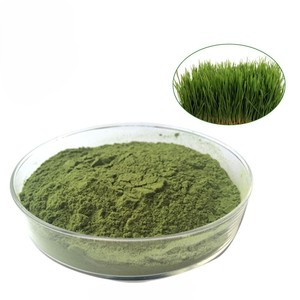 Nutrient Rich Herbal Food Grade <b>Wheat</b> Grass Powder Freshly Selected <b>Wheat</b> Grass Powder Helps Maintain Natural Energy Levels - Product Image 6