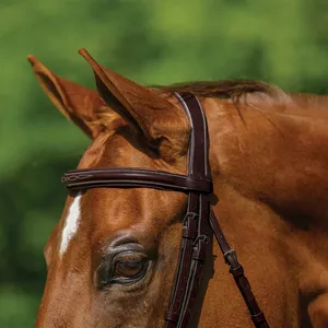 High Quality Brown English Leather Horse Bridle Comfortable Tack Sets Everyday Riding Customizable - Product Image 2