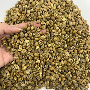 Granos de Café Robusta Eco-Premium 81 S14 de Vietnam, Grado Especial, Apto para Cadenas de Cafeterías, Empaque Minorista, Exportación a Granel a Todo el Mundo - Product Image 5