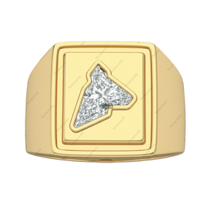 Diamante suelto de alta calidad de 3 quilates VVS cultivado en laboratorio CVD HPHT, certificado GIA IGI, talla Iced Out Pony Horse - Product Image 1