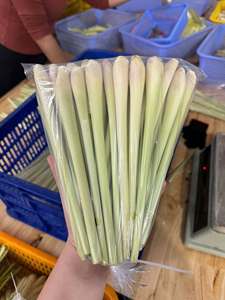Premium Frozen <b>Lemongrass</b> Whole Natural Fresh Quality <b>Vietnam</b> Origin - Product Image 3