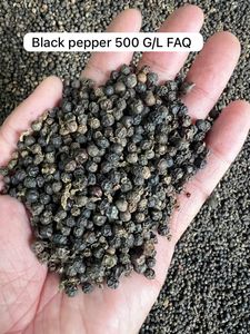 Poivre noir 500 g/l FAQ Prix bas pour l'Afrique Vente en gros Qualité export Sophie 84964540475 - Product Image 4