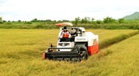 Kubota DC 70 Pro Moissonneuse-batteuse à riz 70HP de haute qualité Caractéristiques avancées Fiablement puissant Polyvalent Optimal Corn Engine