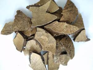 เปลือกมะพร้าวดิบเวียดนาม จำนวนมาก เปลือกมะพร้าวธรรมชาติสำหรับงานฝีมือ เชื้อเพลิง ผู้ผลิตถ่านกัมมันต์ ผู้ส่งออก - Product Image 3