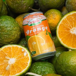 Jugo de Fruta Natural Nawon en Lata, Jugo de Naranja Puro NFC, Jugo de Naranja de 330 ml, Proveedor Mayorista, Fábrica de Bebidas en Vietnam - Product Image 2